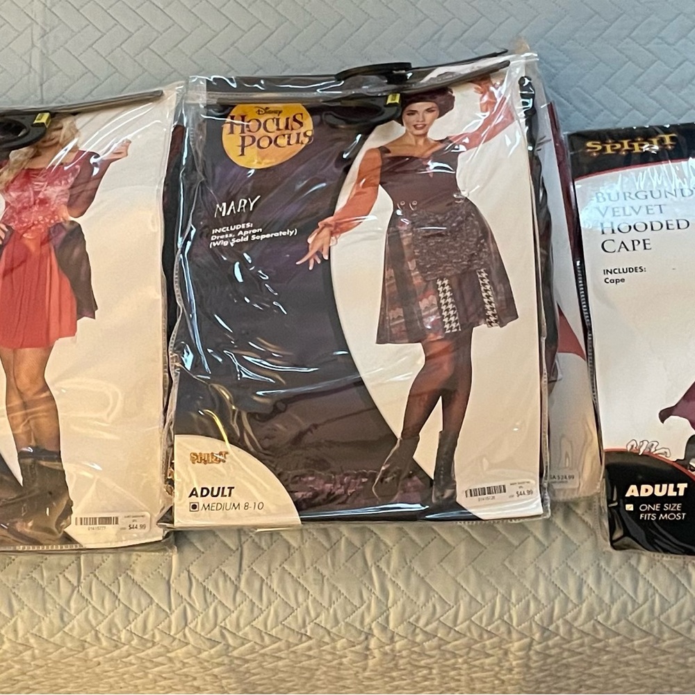 Hocus Pocus Mary and Sarah Sanderson Adult Costumes with wigs & capes $160 Value